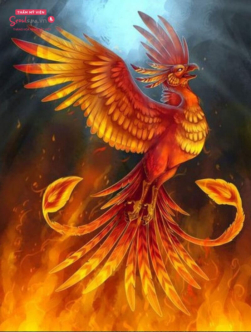 Ngọn lửa trong văn hóa phương Đông là hiện thân của chim Phượng Hoàng